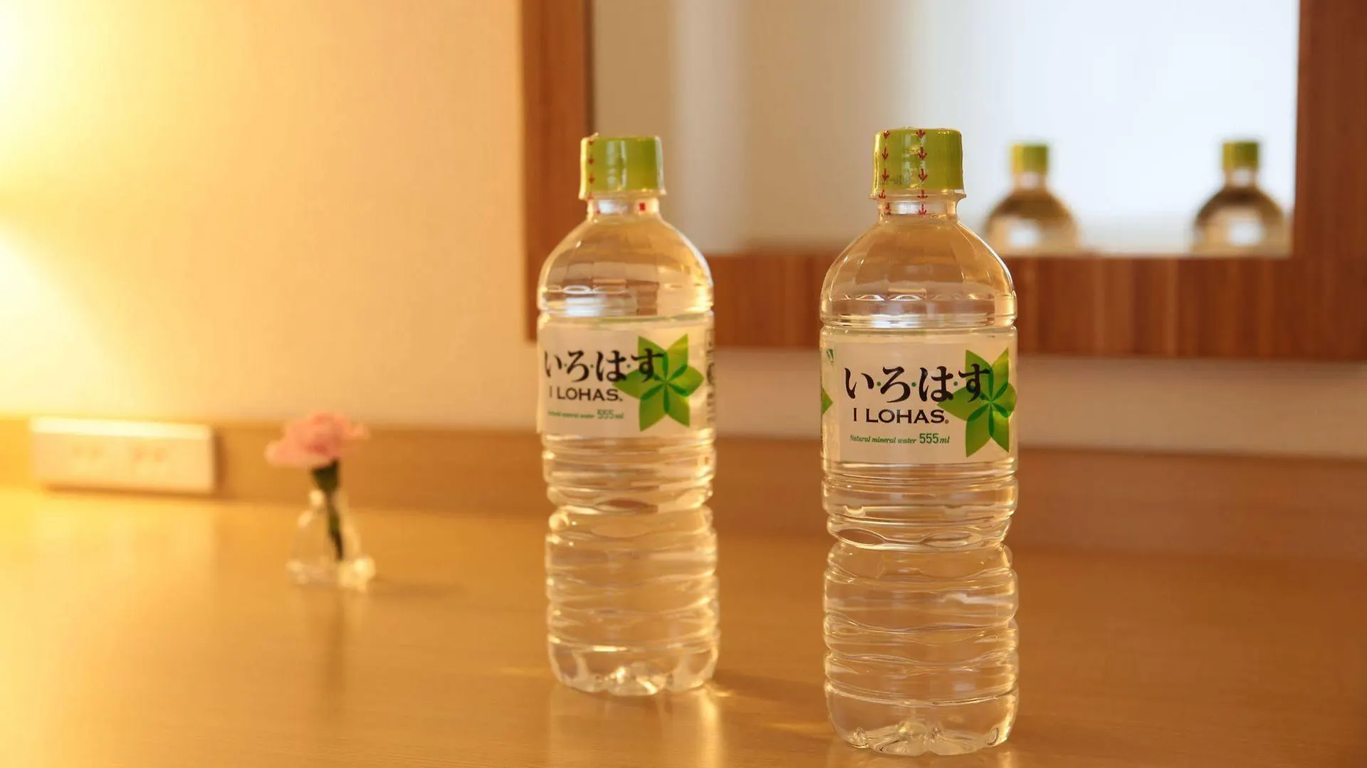 Shin Osaka Station Hotel Annex Japan